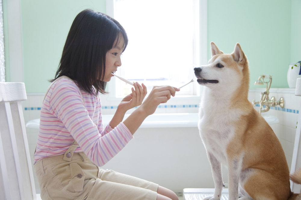 best dog toothpaste