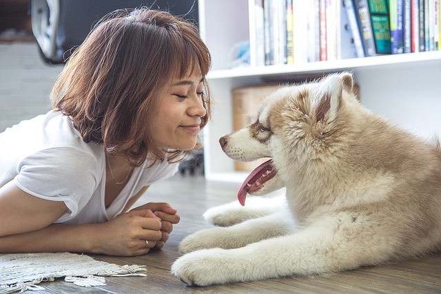 best dog toothpaste